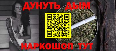 крисы Будённовск