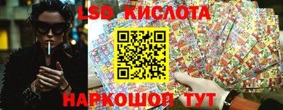 крисы Будённовск