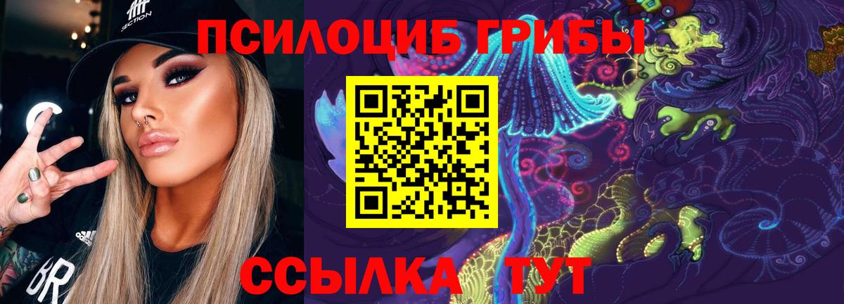 Псилоцибиновые грибы GOLDEN TEACHER Краснодар